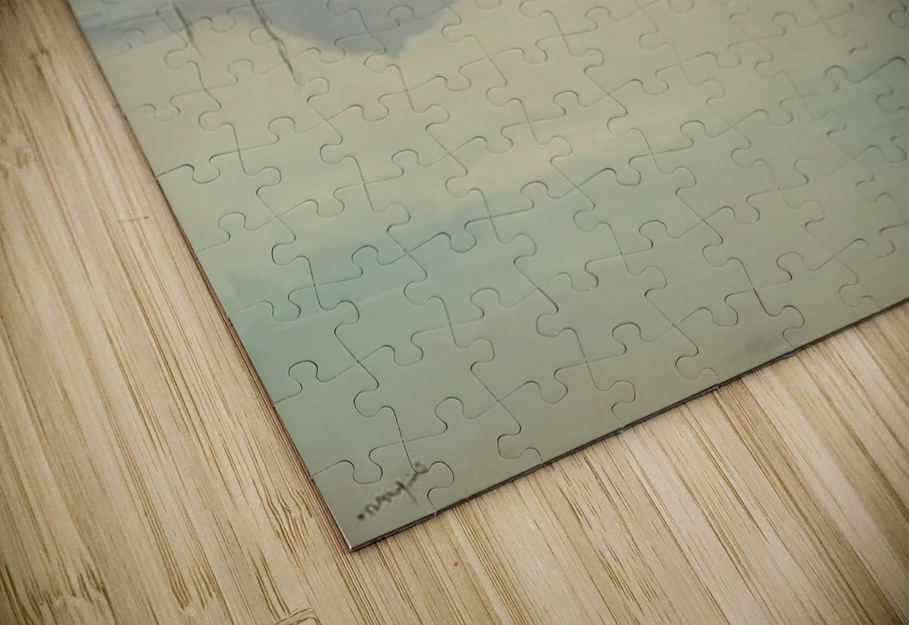 Albert Marquet  29 AmericanPainters Puzzle