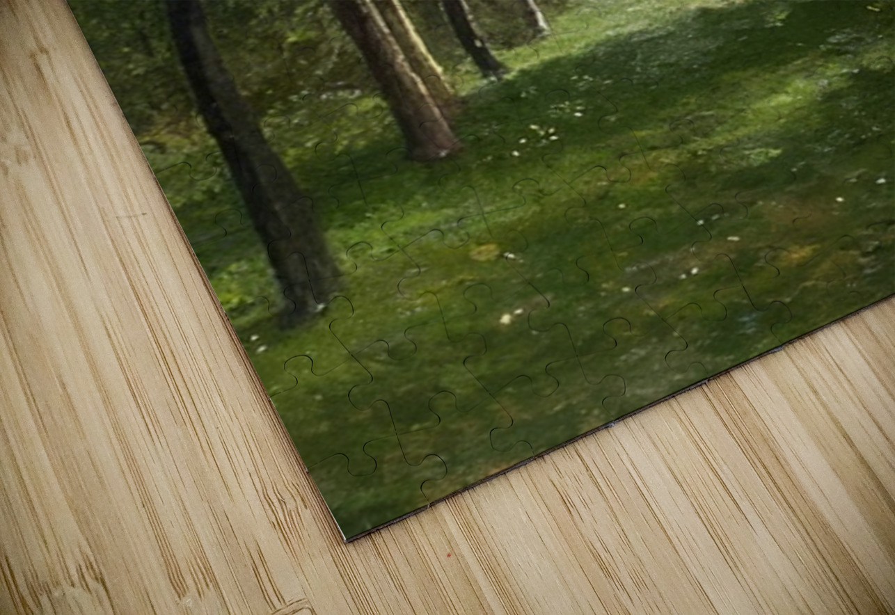 Odilon Redon 10 AmericanPainters Puzzle