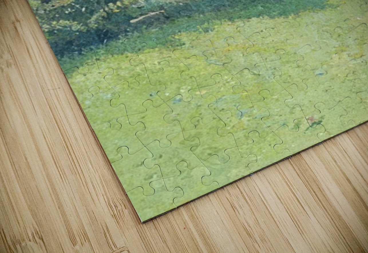  Art by Henri Martin 48 AmericanPainters Puzzle