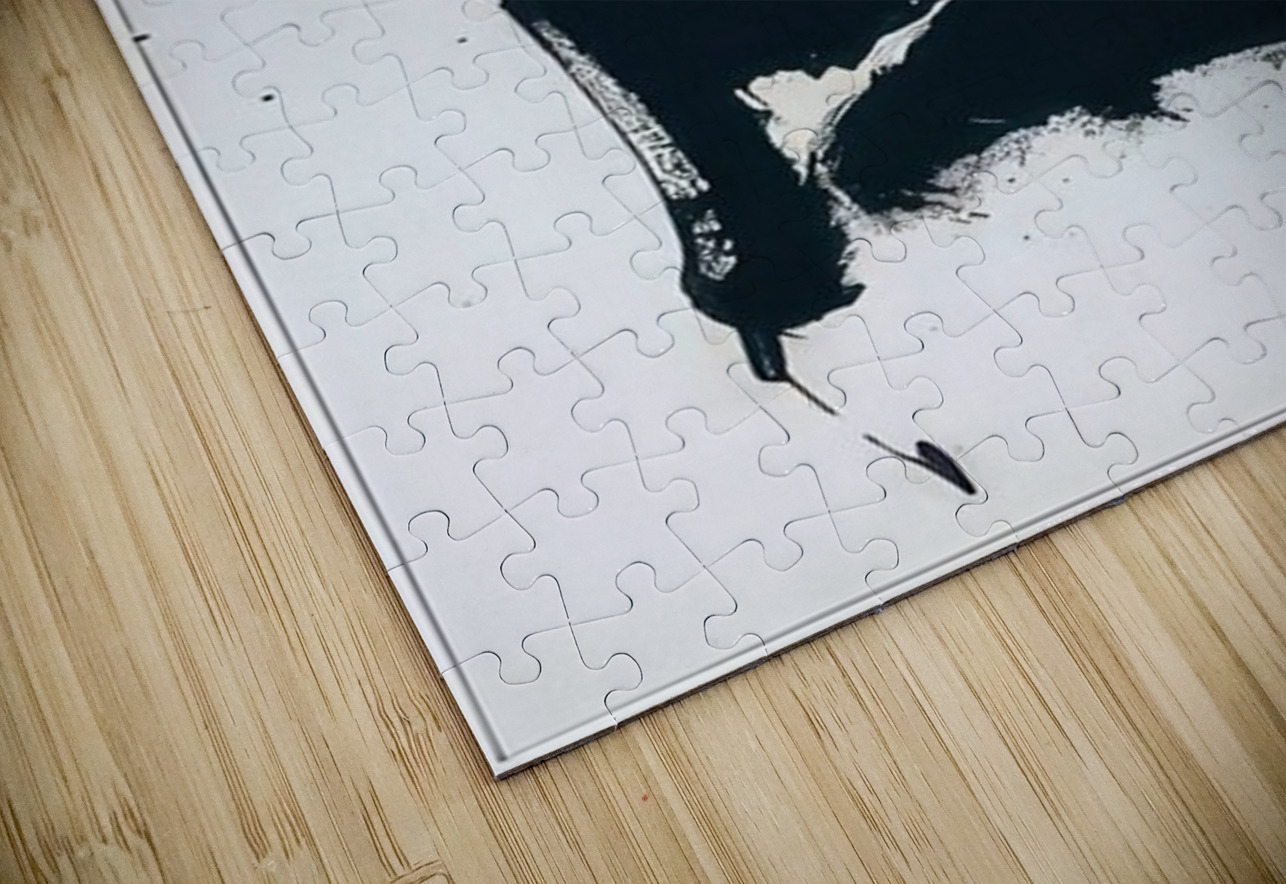 Robert Motherwell 5 AmericanPainters Puzzle