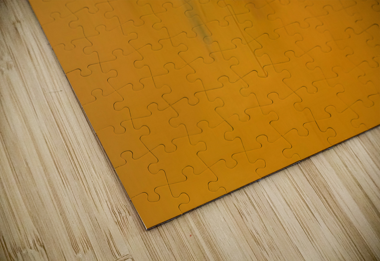 Robert Motherwell 30 AmericanPainters Puzzle