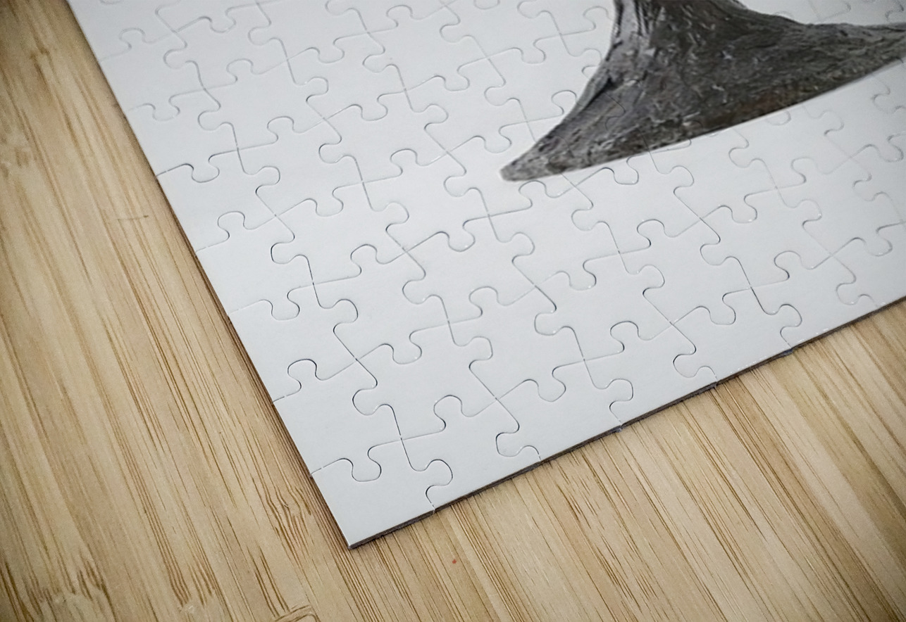 Alexander Calder 46 AmericanPainters Puzzle