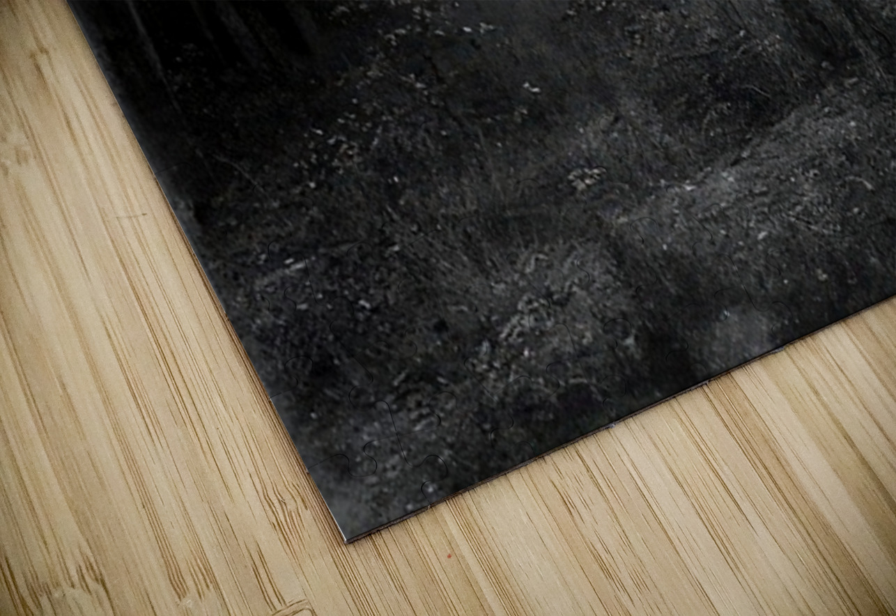 Félix Thiollier 40 AmericanPainters Puzzle