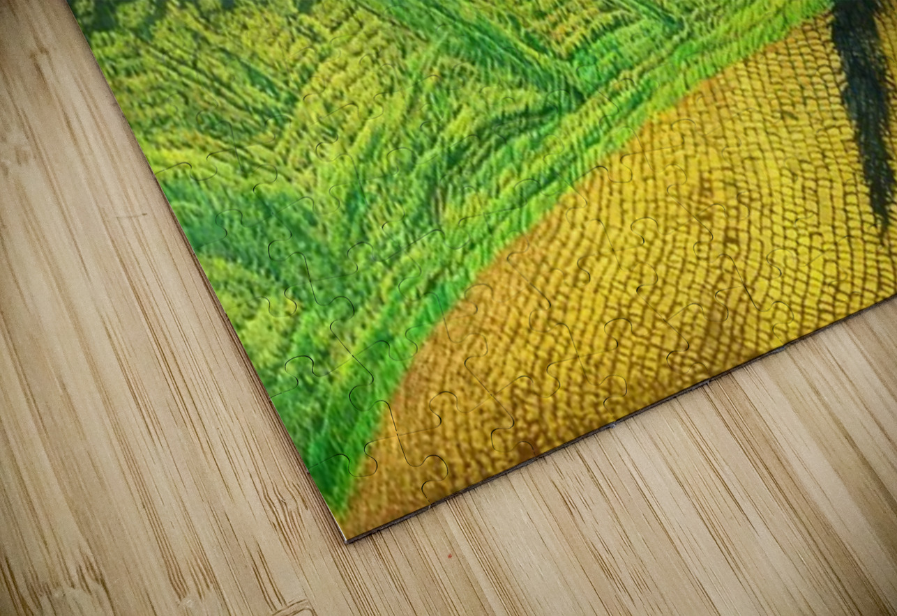 Vincent van Gogh 44 AmericanPainters Puzzle