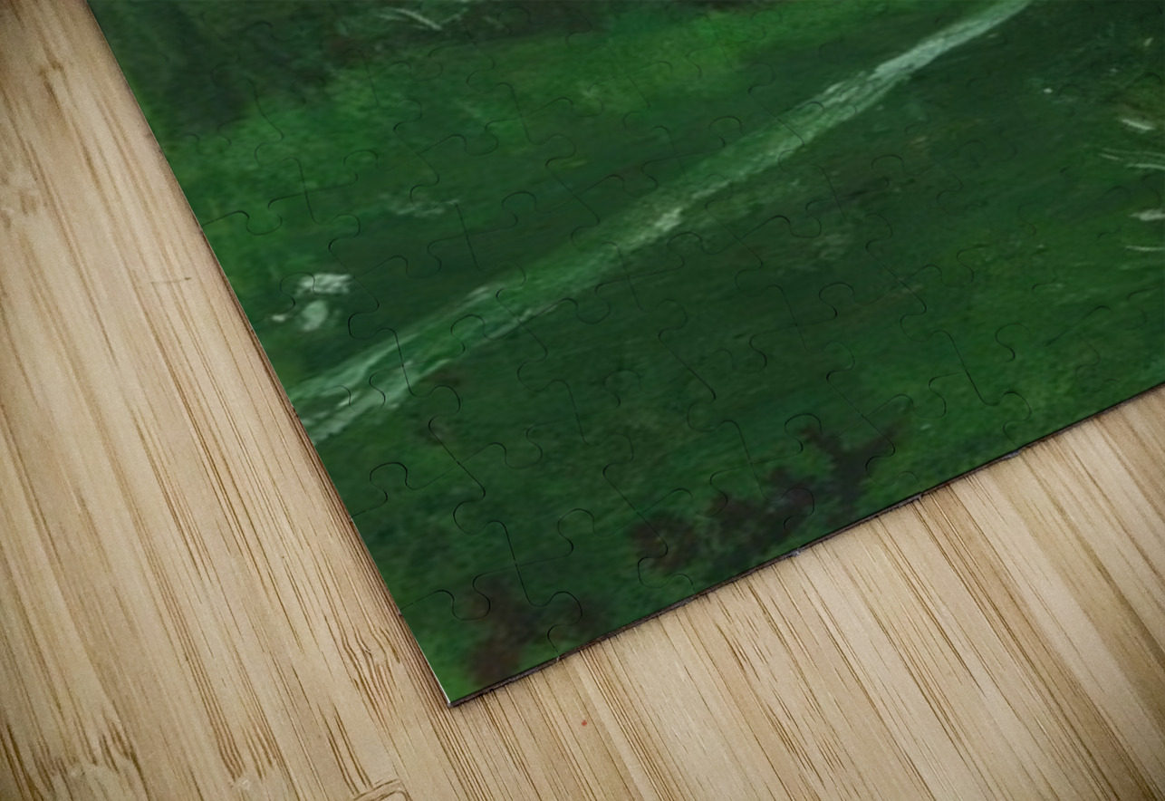 Salvador Dalí 25 AmericanPainters Puzzle