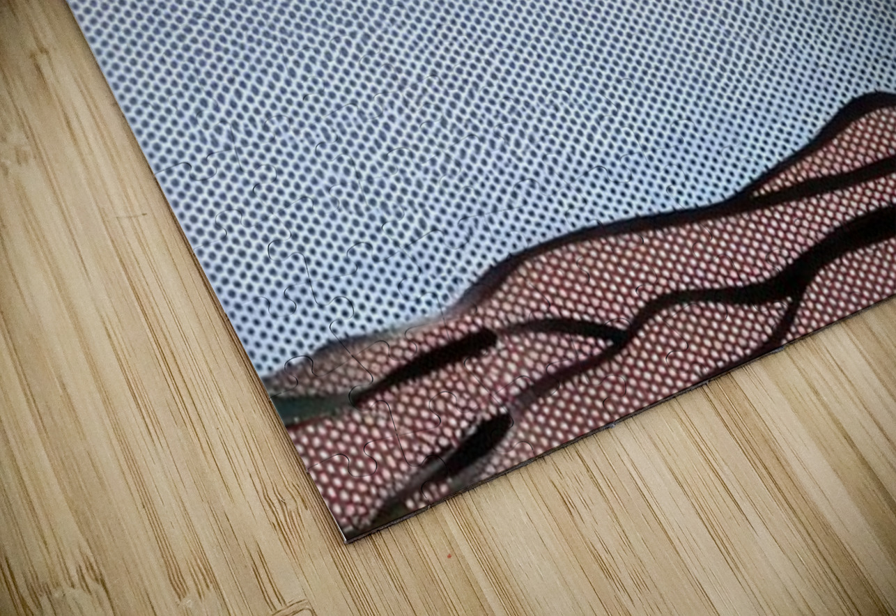 Roy Lichtenstein 27 AmericanPainters Puzzle