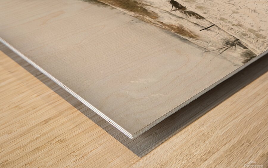 Andrew Wyeth Wood print