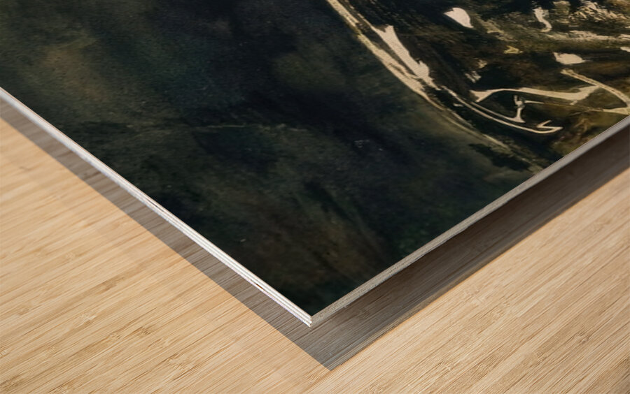 Wolf Moon   1975 - Andrew Wyeth Wood print