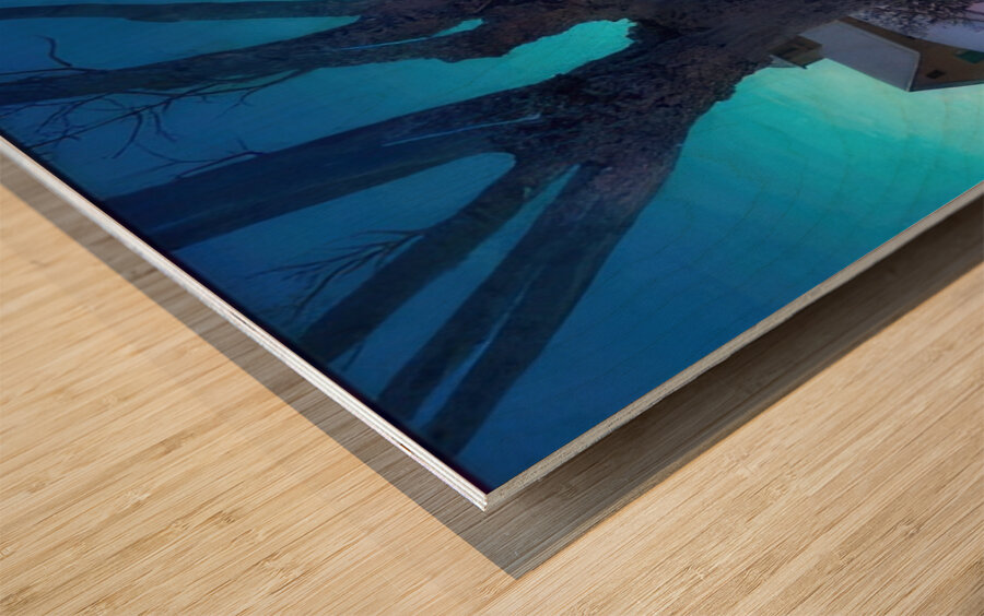 Maxfield Parrish 5 Wood print