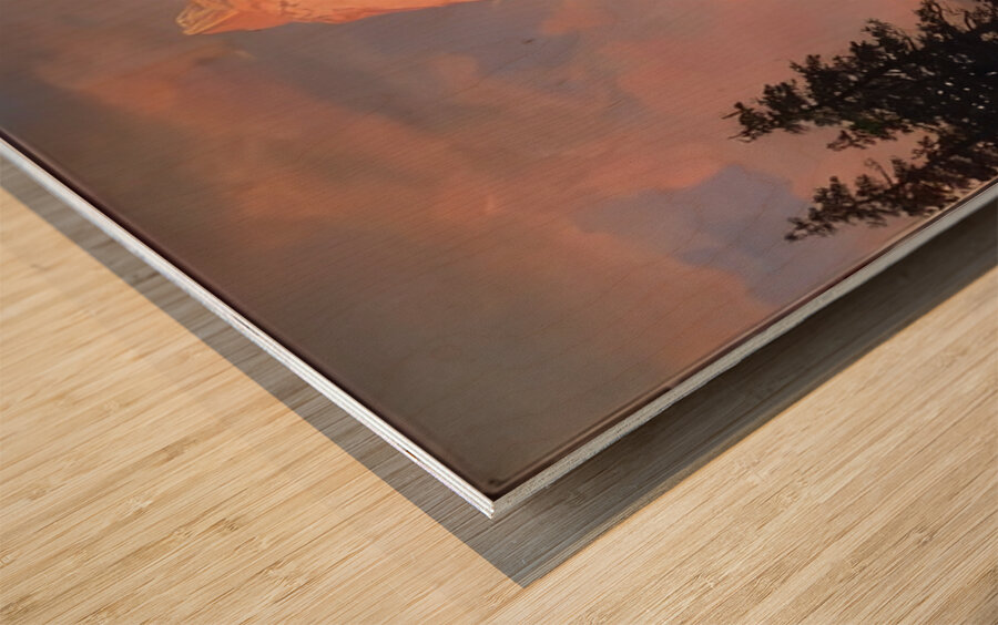 Albert Bierstadt 38 Wood print