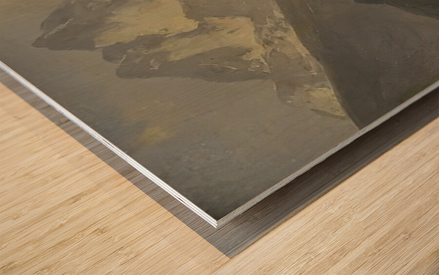 Albert Bierstadt 26 Wood print