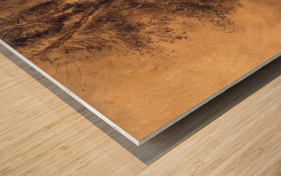 Odilon Redon 11 Wood print