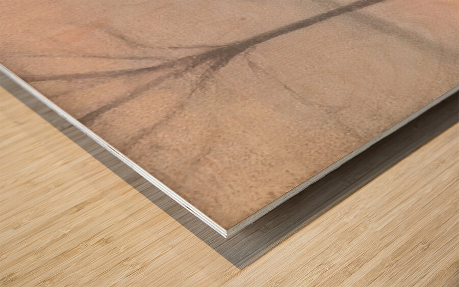 Clarice Beckett 10 Wood print